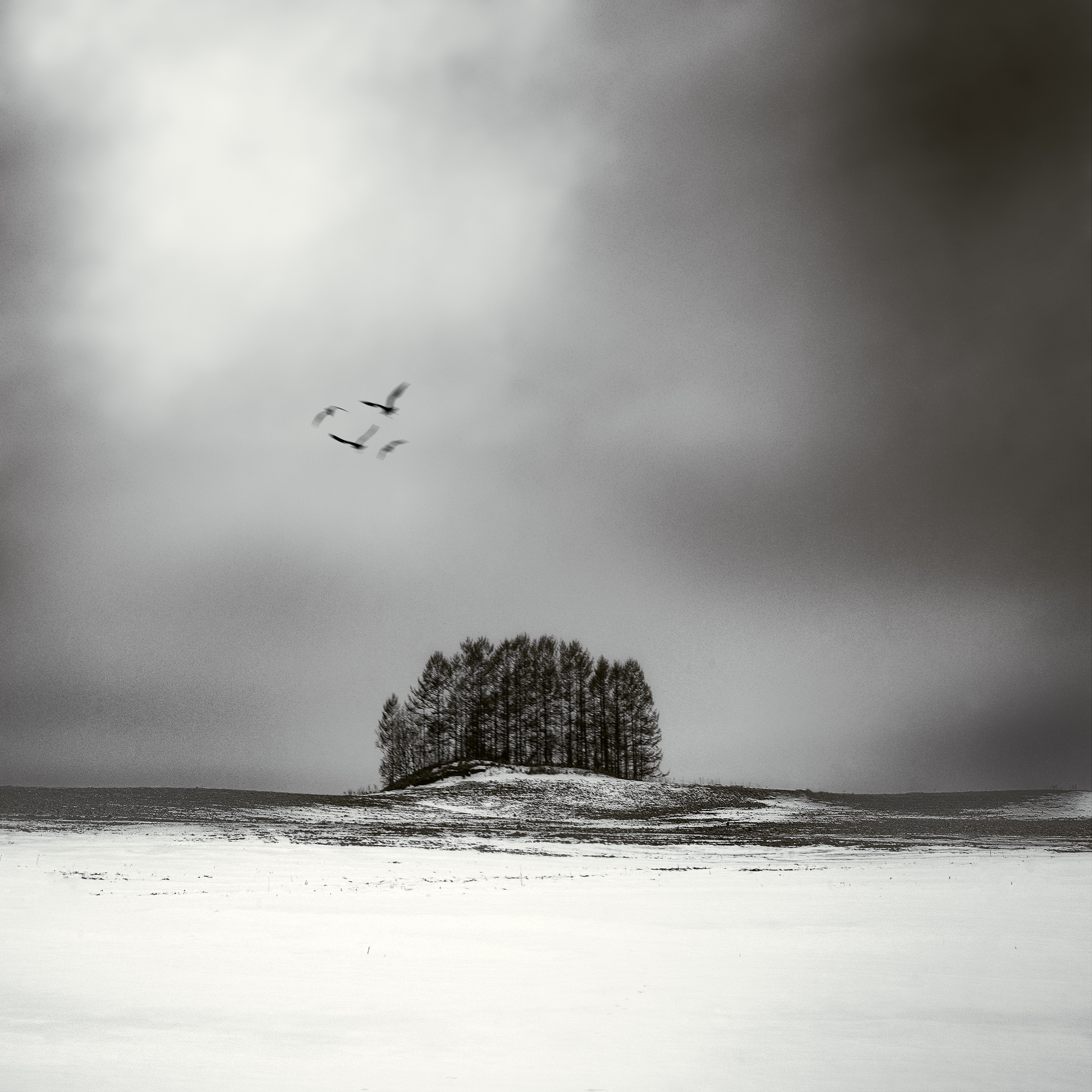 A Passing Moment - Image 1